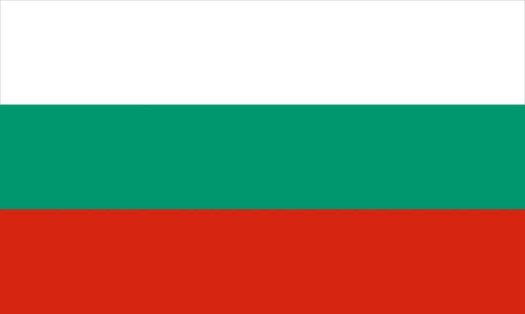 Rumen Radev leads exit polls in Bulgaria, eyes prime minister role