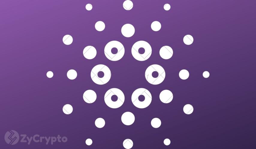 ADA Holds the Line Near $0.24 as Cardano Community Rejects $3.5M Treasury Plan