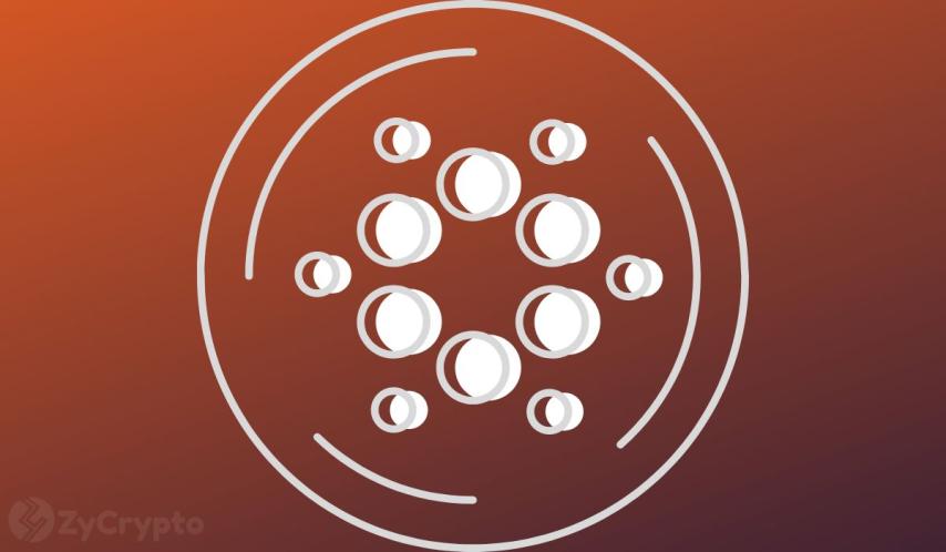 Cardano Army Grows After Hitting 4.6 Million as Bold 300% ADA Rally Call Heats Up