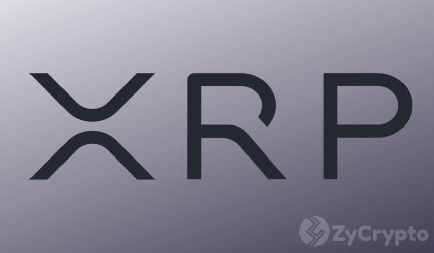 Senator Warren Reportedly Files Sweeping CLARITY Act Amendments Aimed at Blocking XRP From U.S. Banking System: Details