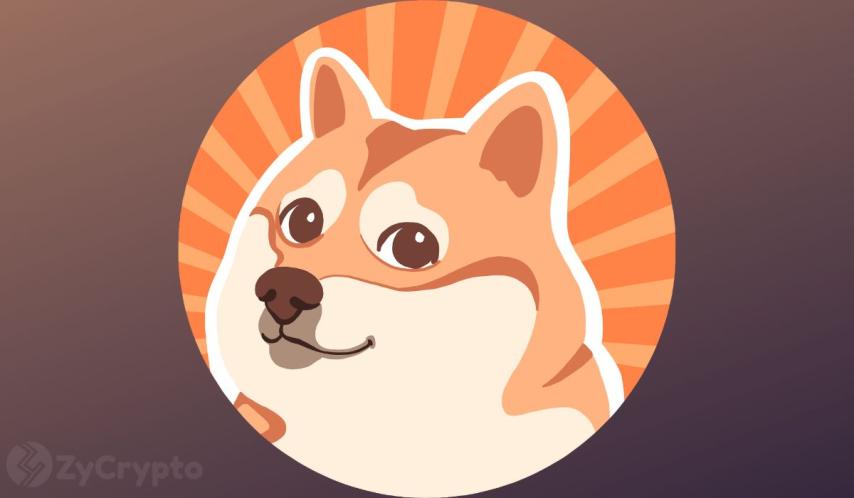 How Shiba Inu’s Explosive Rise Helped One Investor Turn $30 Into a Stunning $600,000 Fortune